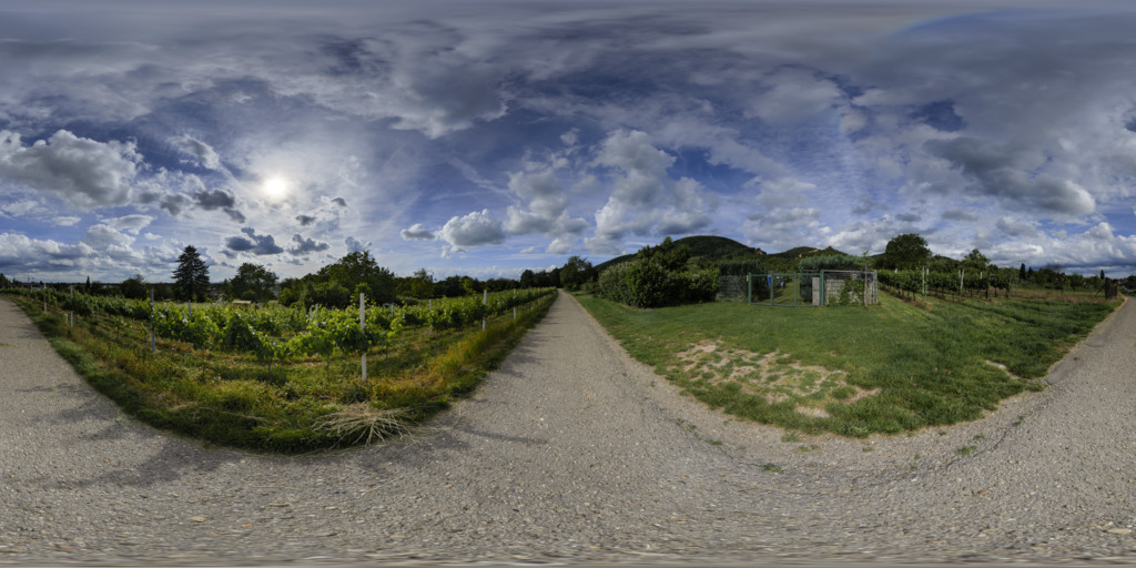/posts/dossenheim-vineyards/preview.jpg
